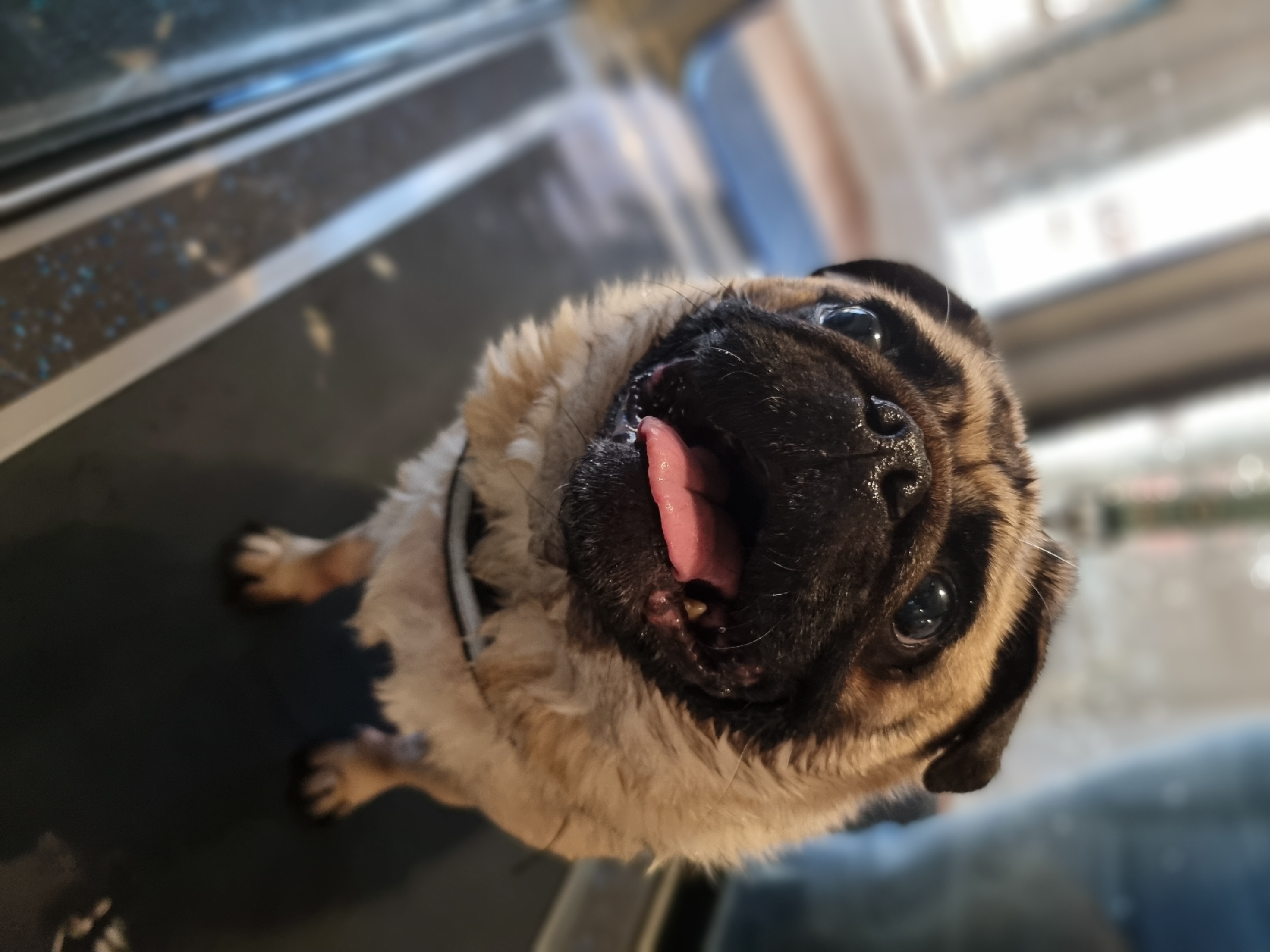 Bugs during hydrotherapy